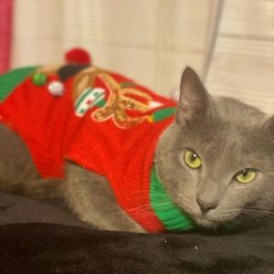 Meet your Posher, Ruth